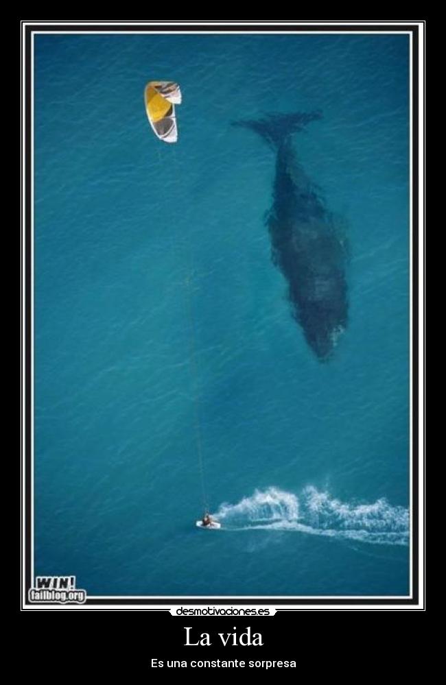La vida - Es una constante sorpresa