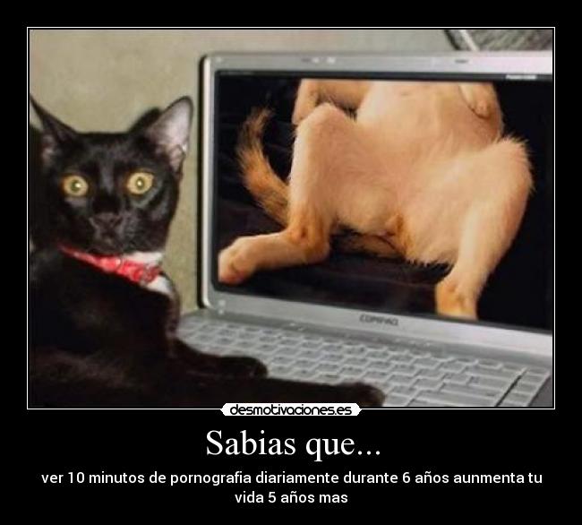 Sabias que... - ver 10 minutos de pornografia diariamente durante 6 años aunmenta tu
vida 5 años mas