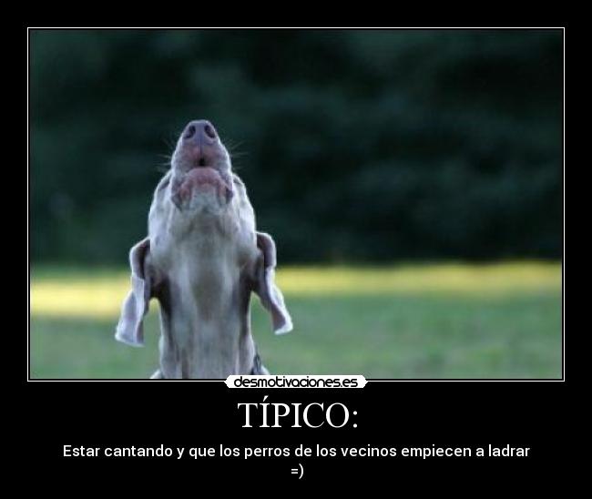 TÍPICO: - Estar cantando y que los perros de los vecinos empiecen a ladrar
=)