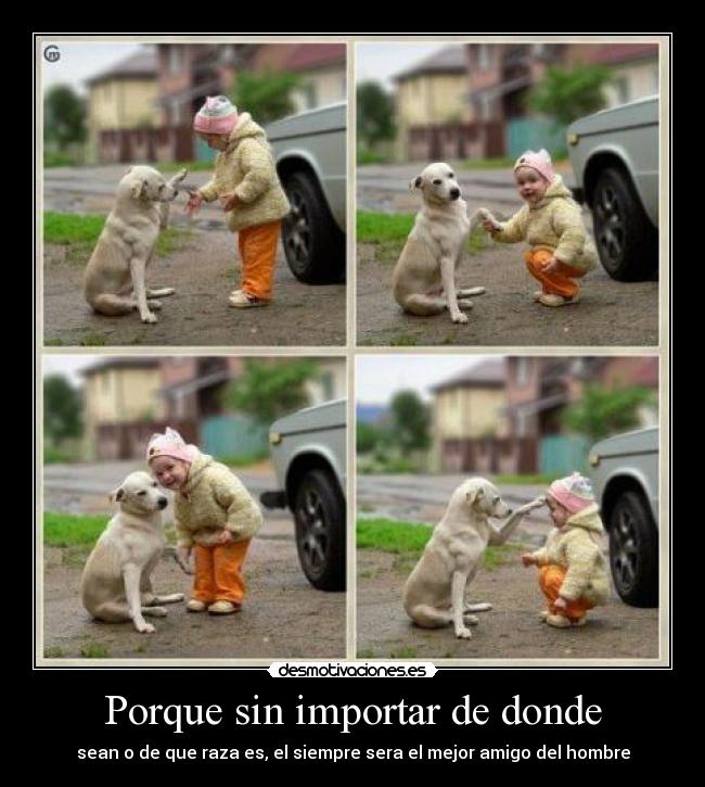 Porque sin importar de donde - sean o de que raza es, el siempre sera el mejor amigo del hombre