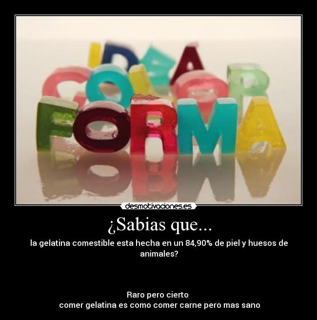 ¿Sabias que... - la gelatina comestible esta hecha en un 84,90% de piel y huesos de animales?
Raro pero cierto
comer gelatina es como comer carne pero mas sano