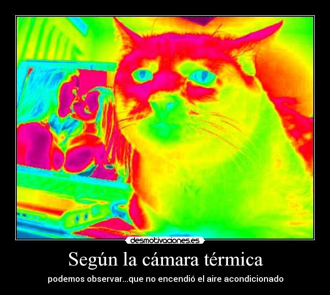 Según la cámara térmica -