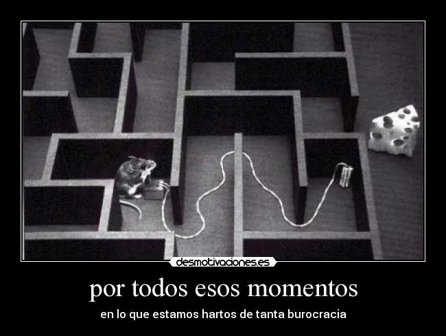 por todos esos momentos - en lo que estamos hartos de tanta burocracia