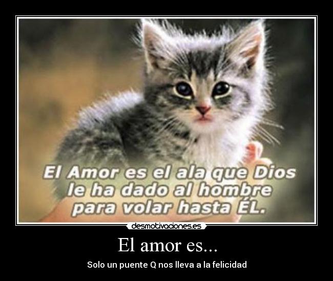 El amor es... -