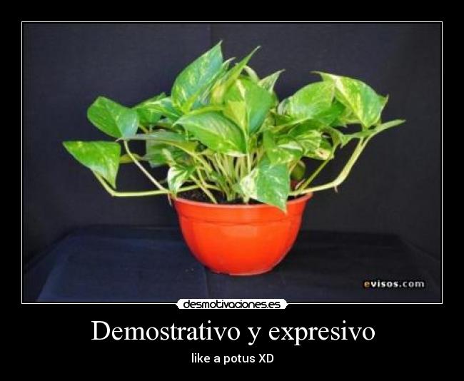 carteles lalalal desmotivaciones