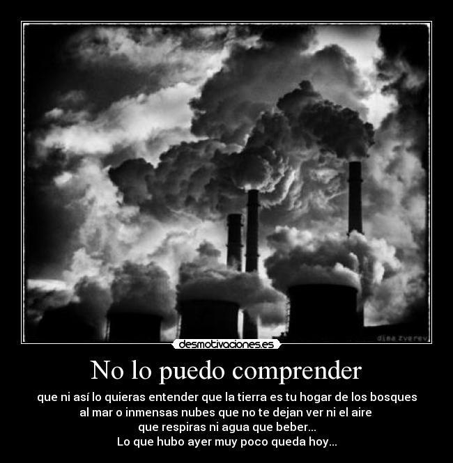 No lo puedo comprender - que ni así lo quieras entender que la tierra es tu hogar de los bosques
al mar o inmensas nubes que no te dejan ver ni el aire
que respiras ni agua que beber...
Lo que hubo ayer muy poco queda hoy...