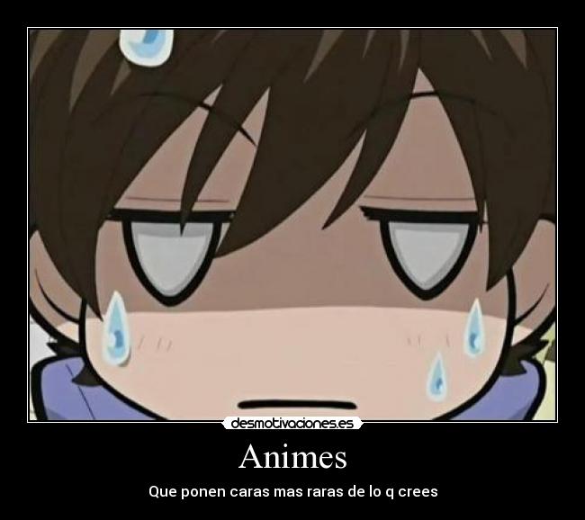 Animes - 
