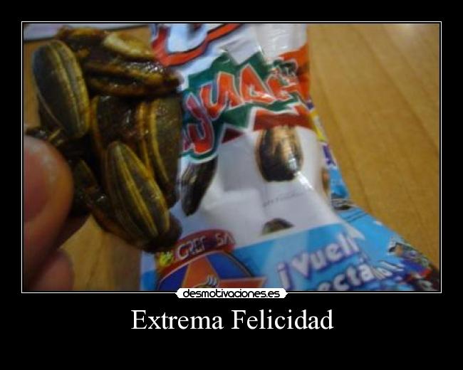 Extrema Felicidad -
