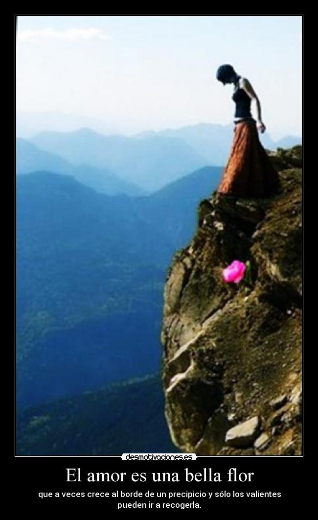 El amor es una bella flor - que a veces crece al borde de un precipicio y sólo los valientes pueden ir a recogerla.