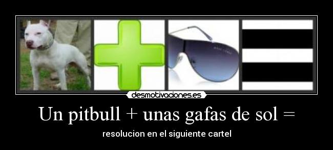 Un pitbull + unas gafas de sol = - resolucion en el siguiente cartel