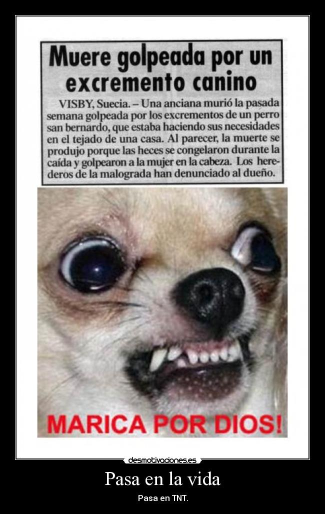 Pasa en la vida - Pasa en TNT.