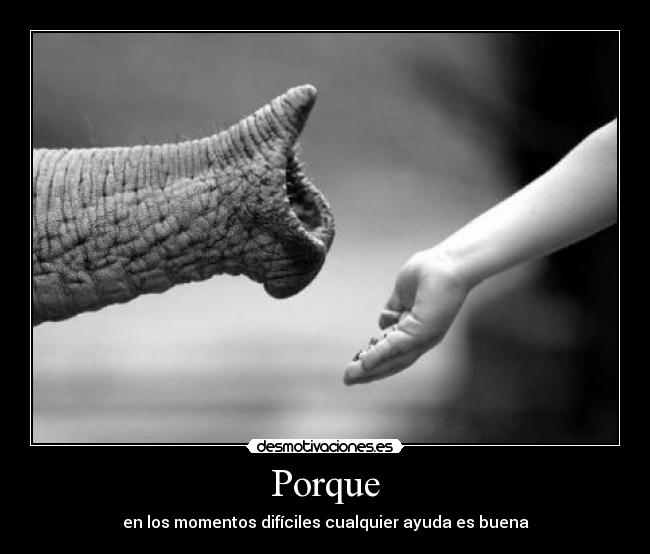 Porque - 