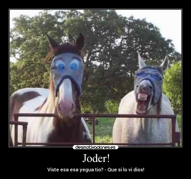 carteles sexo desmotivaciones