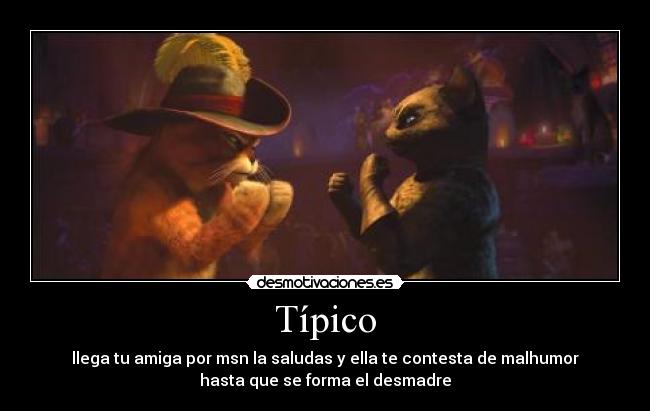 carteles gatoscon botas echos reales desmotivaciones