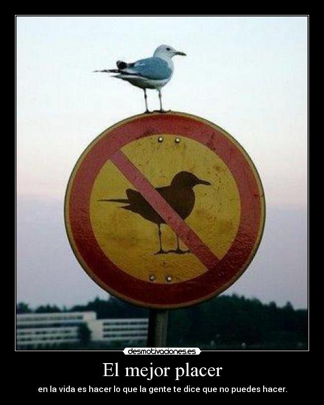 El mejor placer - en la vida es hacer lo que la gente te dice que no puedes hacer.