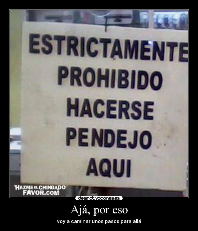 carteles pendejo prohiido estupido letreros sin sentido desmotivaciones