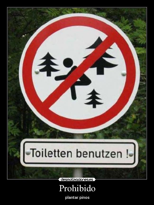 Prohibido - plantar pinos