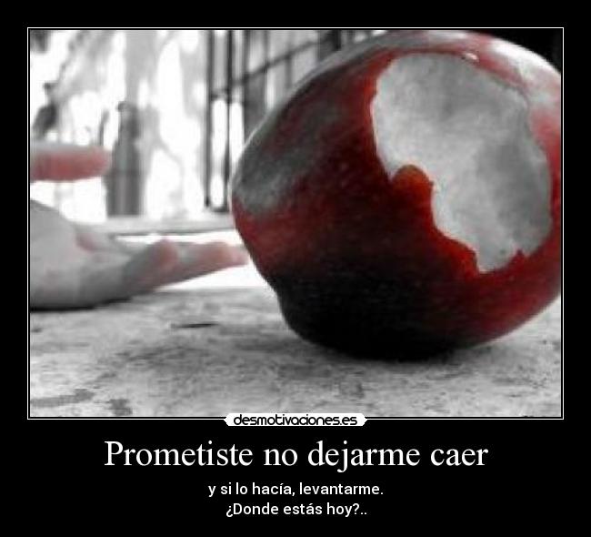 Prometiste no dejarme caer - 