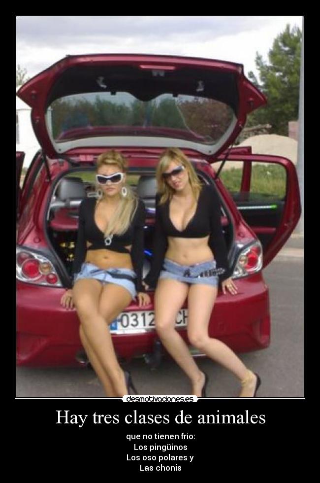 Hay tres clases de animales - 