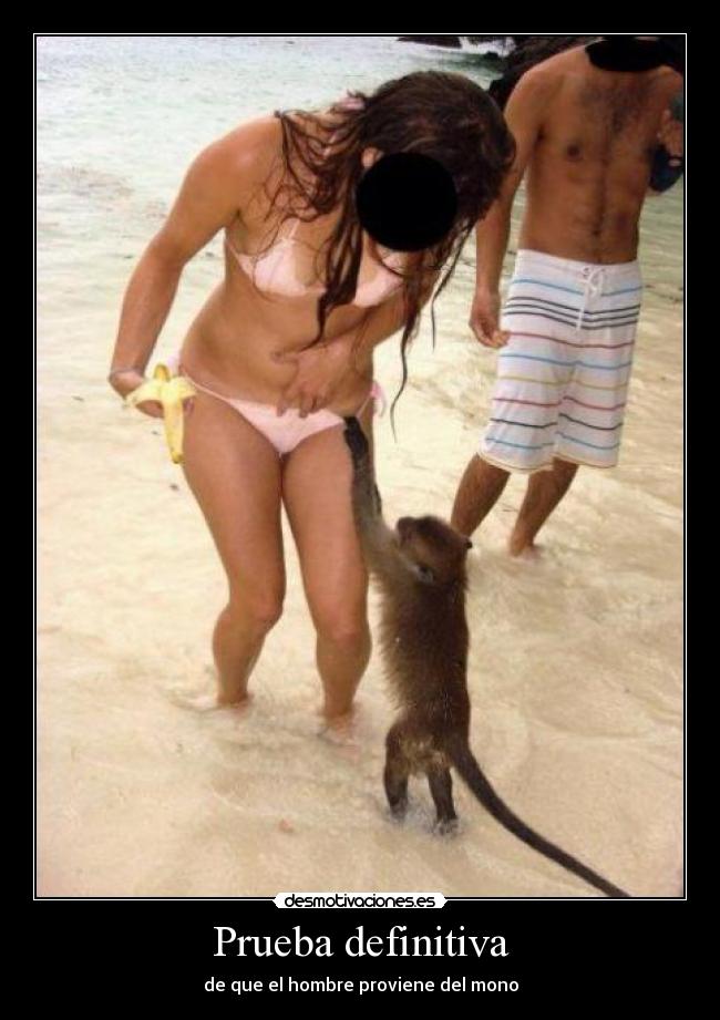 carteles prueba desmotivaciones