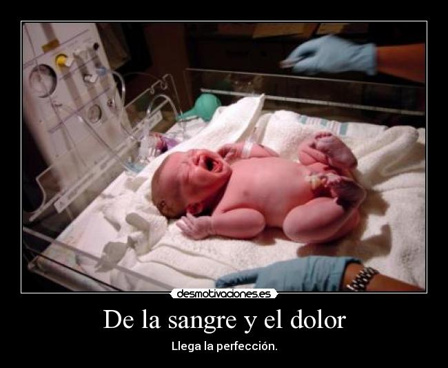 De la sangre y el dolor -