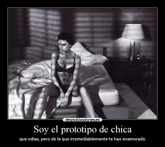 carteles soy prototipo chica desmotivaciones