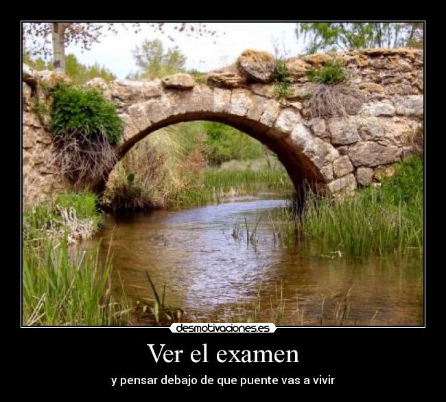 Ver el examen -