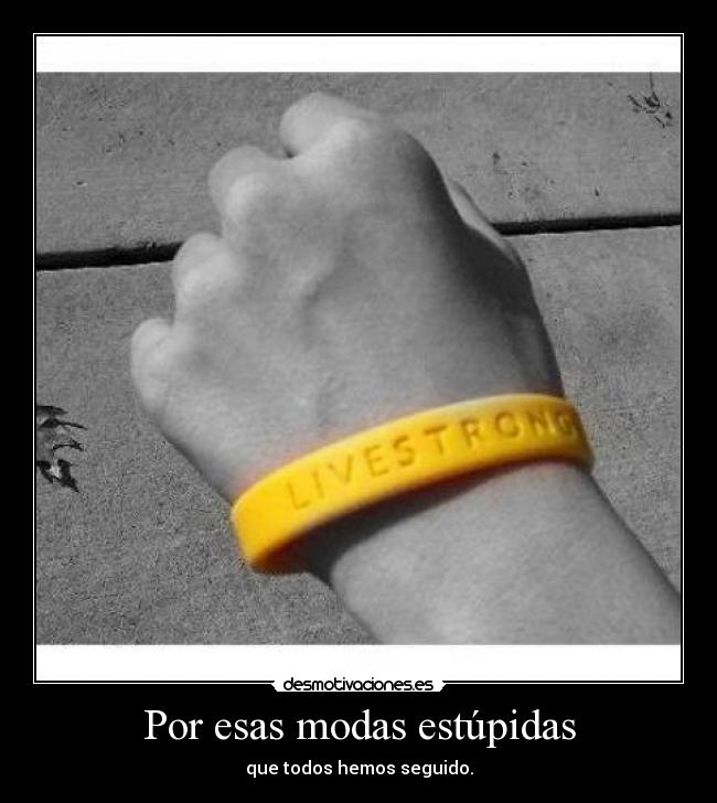 Por esas modas estúpidas -