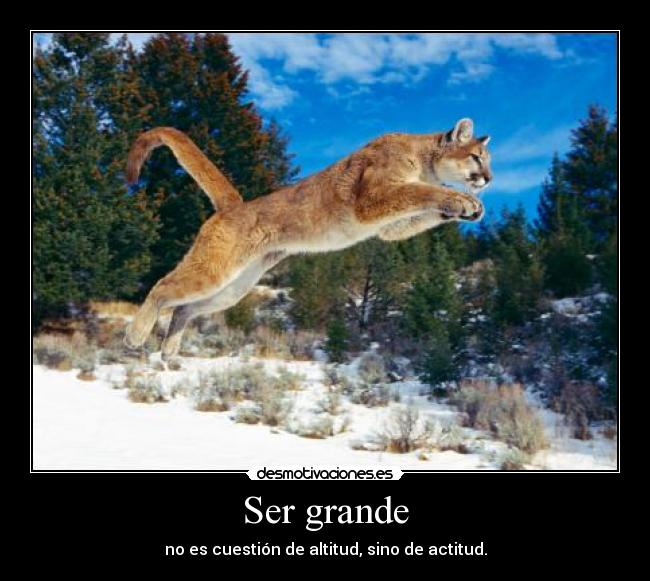 Ser grande - no es cuestión de altitud, sino de actitud.