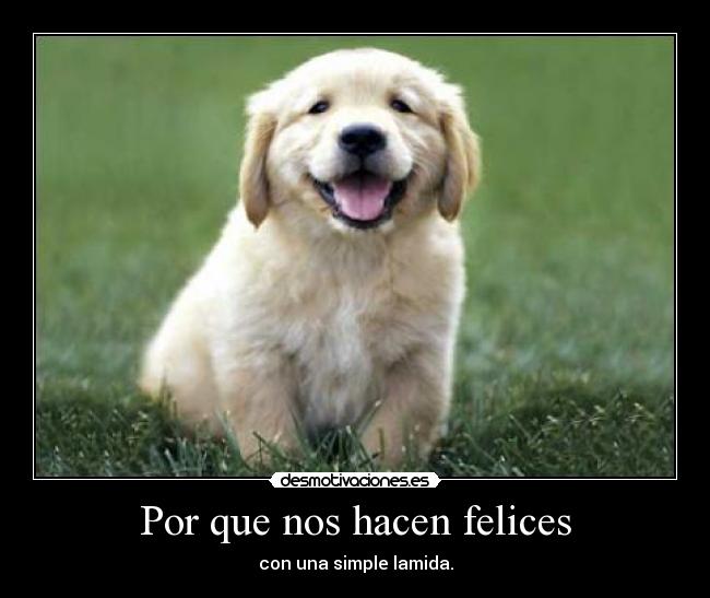 Por que nos hacen felices - con una simple lamida.