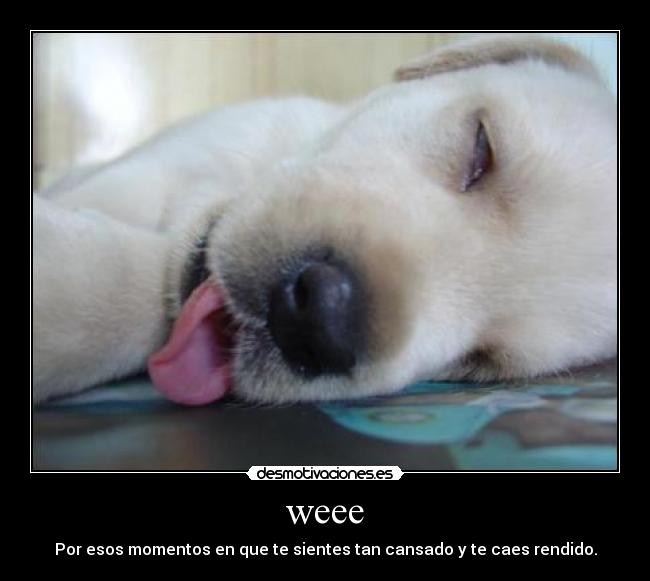 carteles jonitakin desmotivaciones