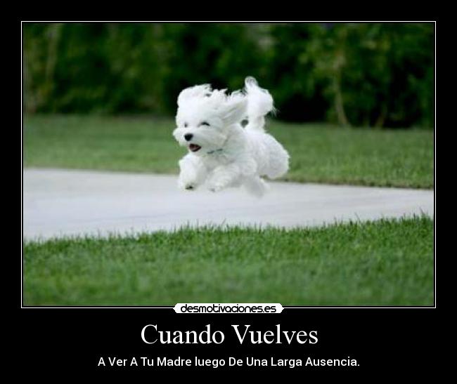 Cuando Vuelves - A Ver A Tu Madre luego De Una Larga Ausencia.