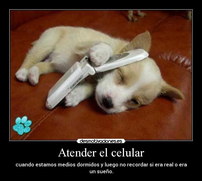 Atender el celular - cuando estamos medios dormidos y luego no recordar si era real o era un sueño.