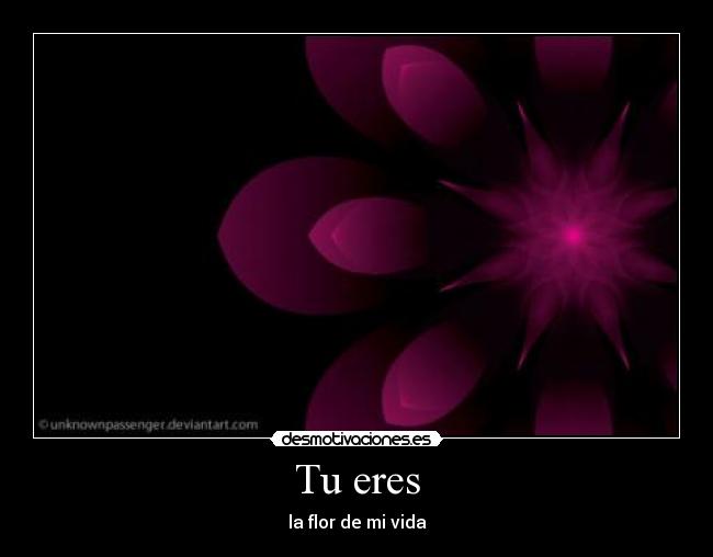 Tu eres -