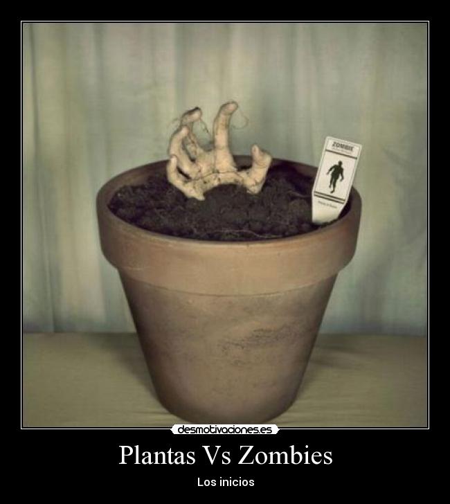 Plantas Vs Zombies - 