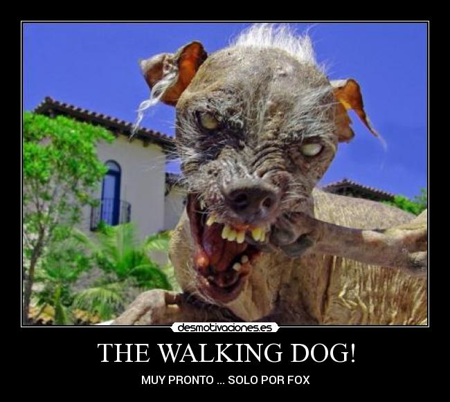 THE WALKING DOG! - MUY PRONTO ... SOLO POR FOX