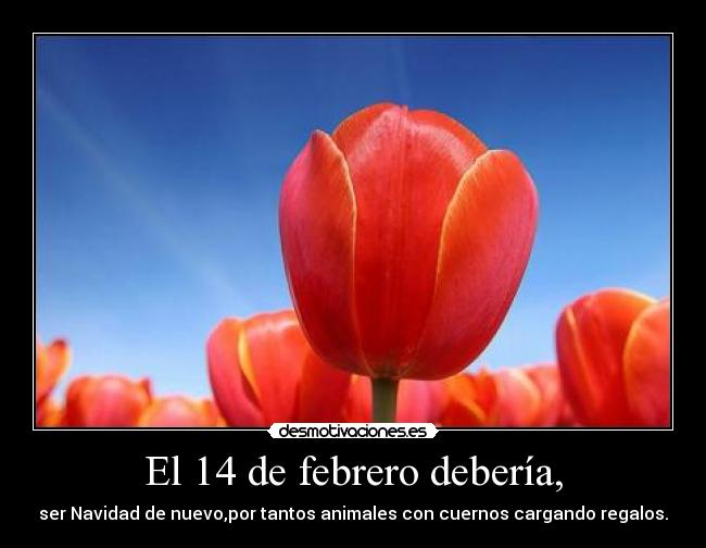 El 14 de febrero debería, - ser Navidad de nuevo,por tantos animales con cuernos cargando regalos.