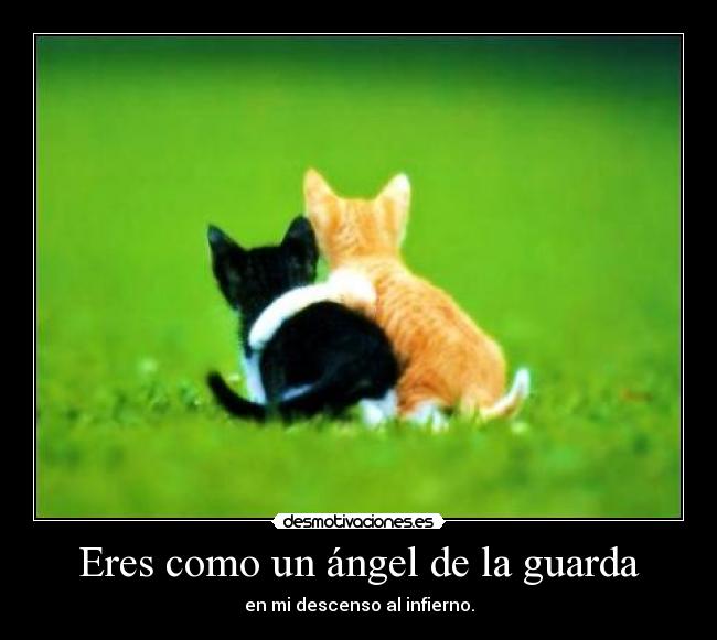 Eres como un ángel de la guarda -