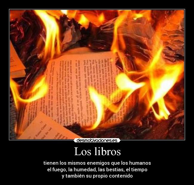 Los libros - 