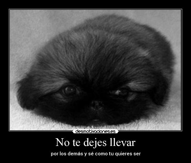 No te dejes llevar - 