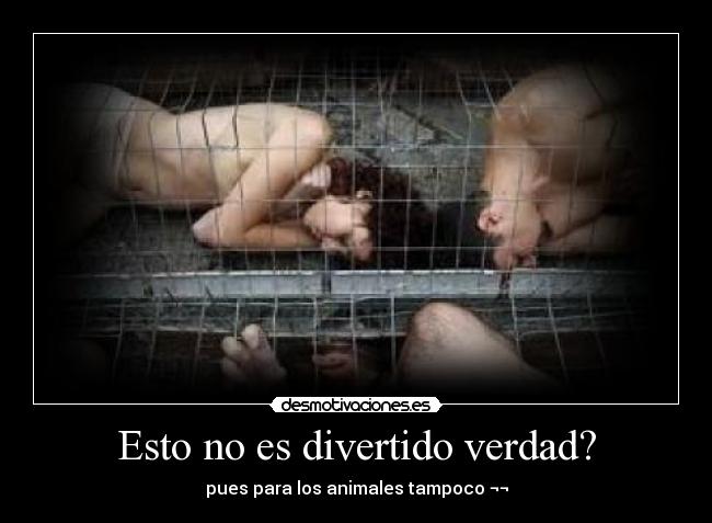 Esto no es divertido verdad? -