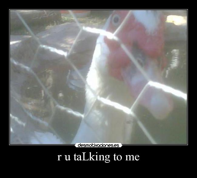 r u taLking to me -
