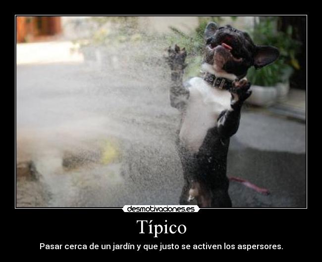Típico - Pasar cerca de un jardín y que justo se activen los aspersores.