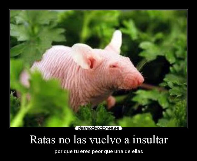 carteles hombres malos desmotivaciones