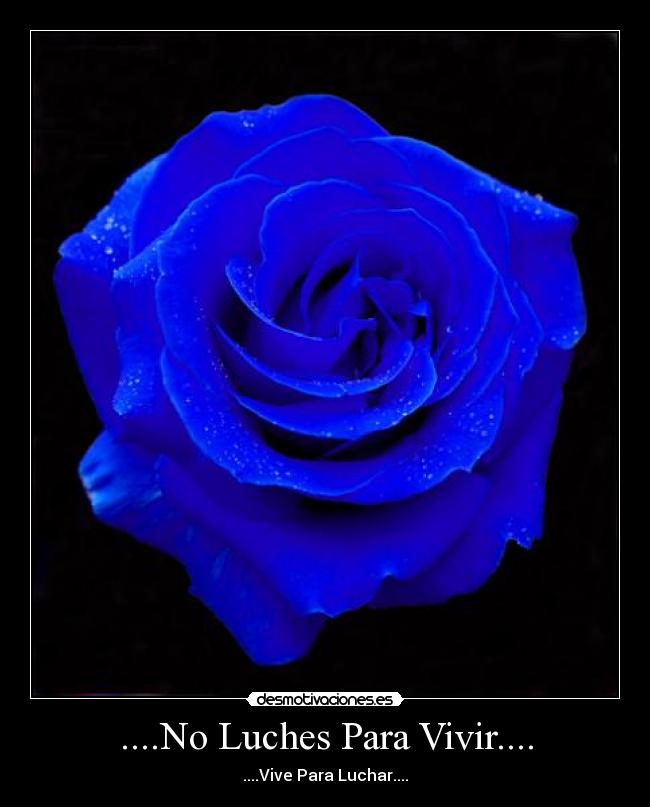 ....No Luches Para Vivir.... -