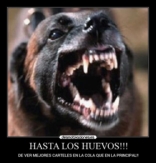HASTA LOS HUEVOS!!! -