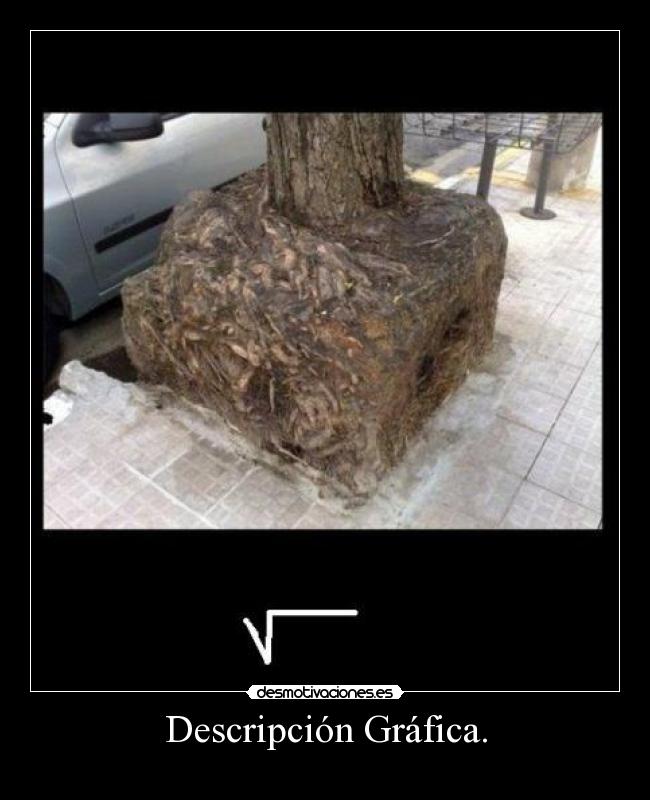 Descripción Gráfica. -