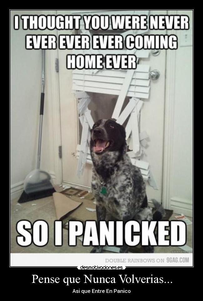 Pense que Nunca Volverias... - Asi que Entre En Panico