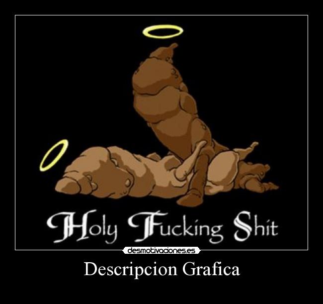 carteles holyfuckingshit holy fucking shit descripcion grafica desmotivaciones