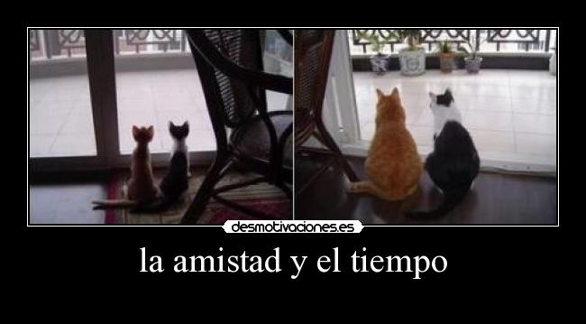 la amistad y el tiempo -